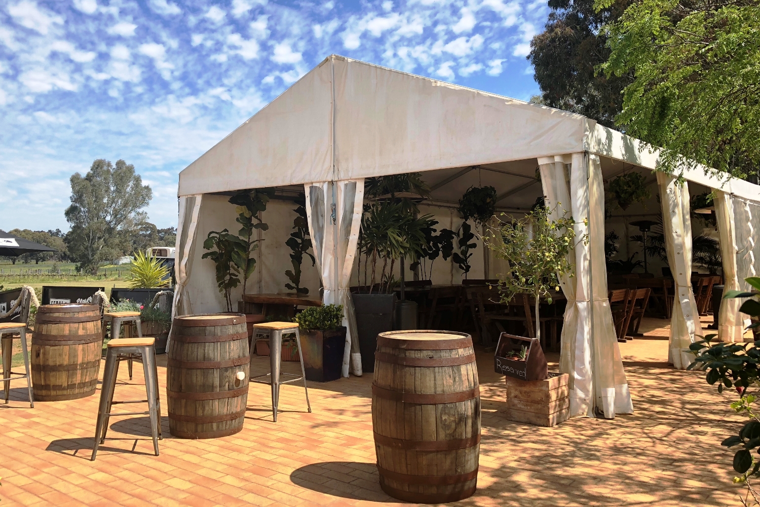 Party Hire in Auckland