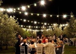 [H-FESTOON 120] Festoon Lights 10m