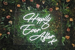 [H-NEOHAPEAFT] Neon LED Light - Happily Ever After